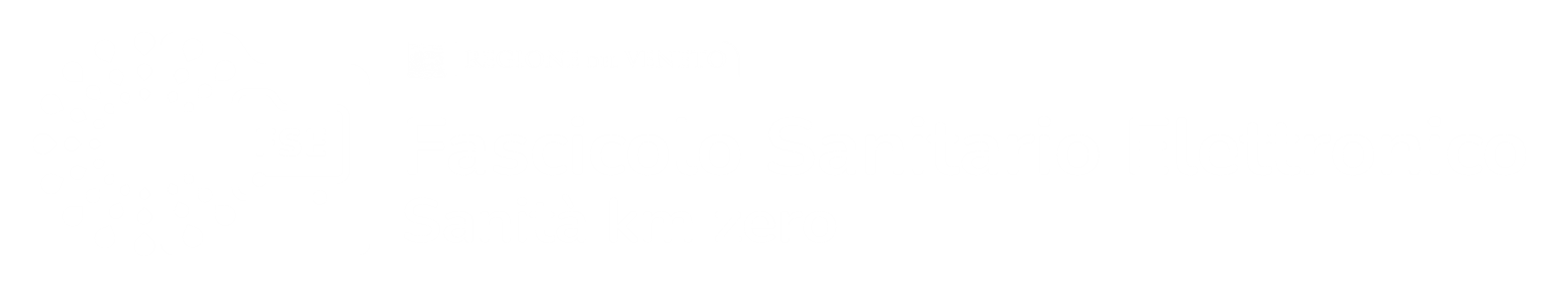 LOGO FSE Negativo a colori