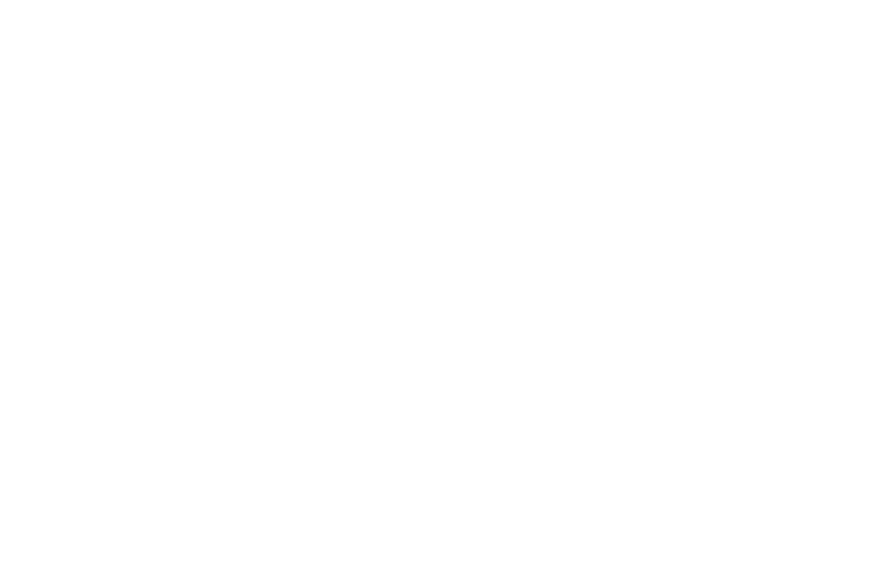 logo fse negatvo colori